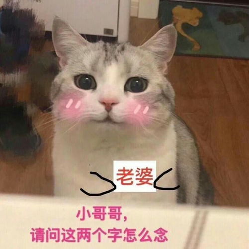  孟鹤堂周九良当铺二三事