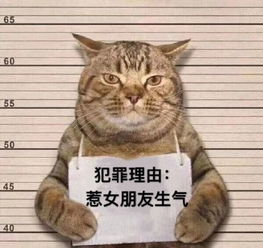  近期斗图表情包精选2019916