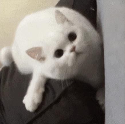  她现在怎么浑身散发着退出雌竞的美了