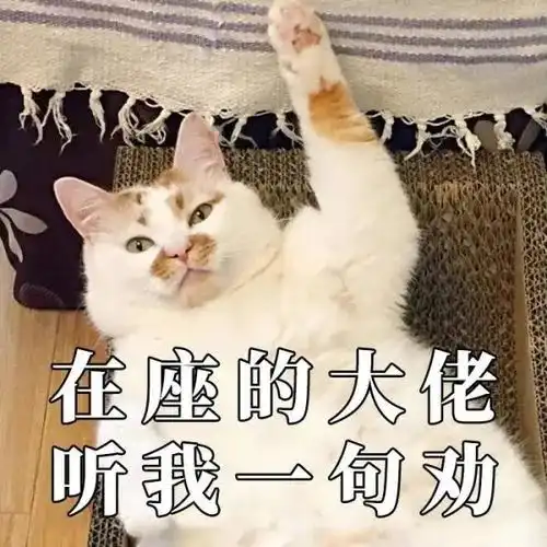  公安部最新通知这些业务全面恢复