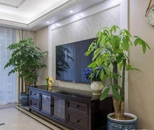  客厅养花讲究大,几个禁区别养花,养一盆枯一盆,还影响风水