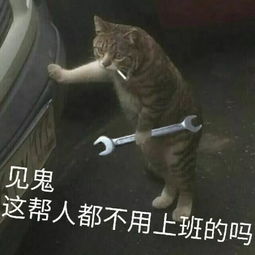  丢人到家韩媒爆料中国粉丝追韩星竟做出这样的事