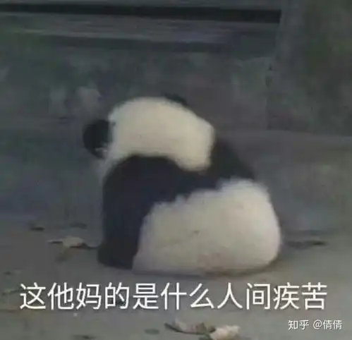  黑匠星的苍蝇又开始了,简直逗笑大伙儿