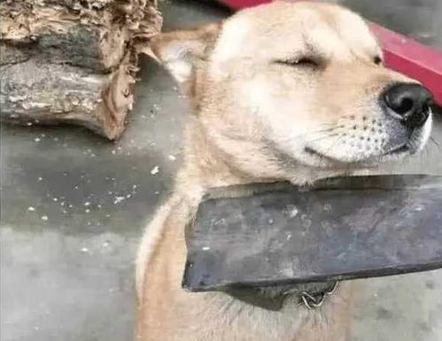  开心一刻昨天中午一女同事请假去相亲,可没去多久又回来上班了