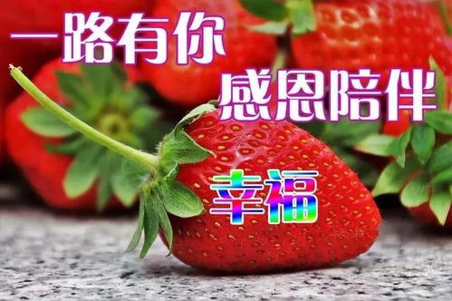  最新周一早上好祝福语表情包,一心一意问候,愿你一生一世安康