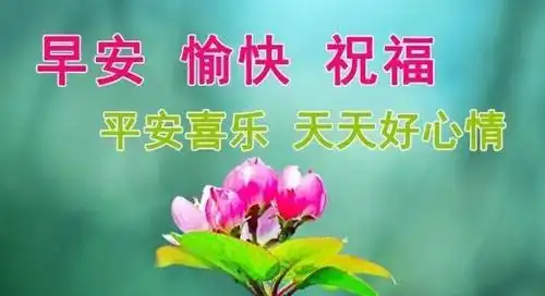  最美的早上好问候语图片表情送您,早晨好祝福语图文大全