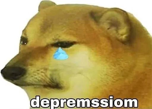  顶流表情包柴犬去世,全球十亿网友哭成泪人