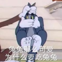  表情sir不约不约,我真的不约