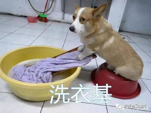  新政解读金融资产投资公司管理办法试行
