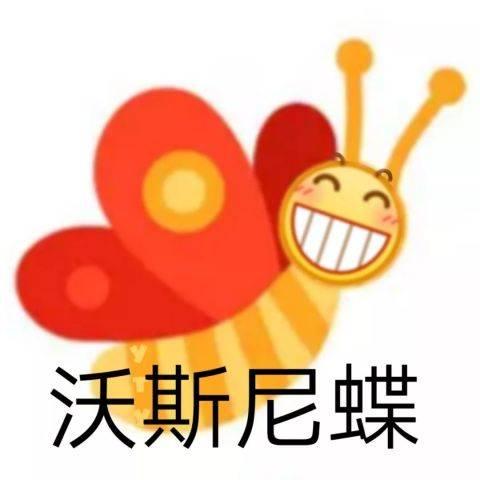  沃斯尼蝶