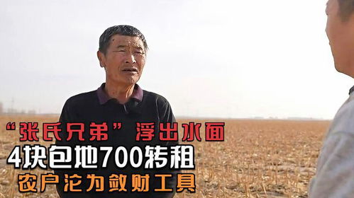  内蒙古张氏兄弟浮出水面,4块包地700转租,农户沦为敛财工具