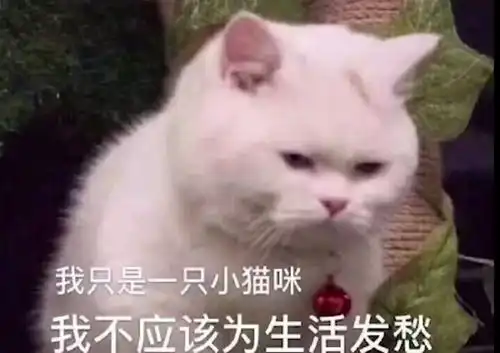 吃口屎冷静一下表情包开