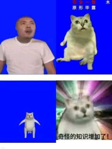  科普奇怪的知识增加了的表情包和相关源由