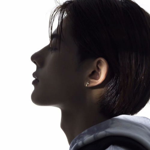  帅气男头酷哦