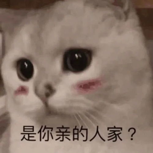  表情包图片关于我单身这件事,没有一个男人是无辜的