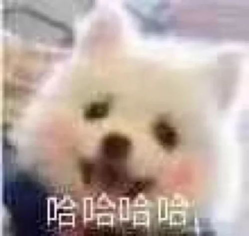  表情包你口臭哦