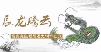  2017年十二生肖中谁运气最好