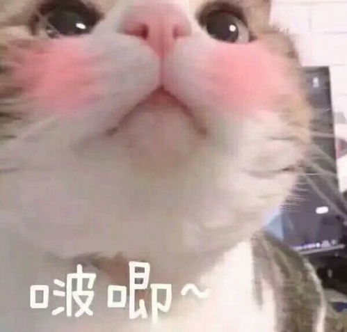  淘宝上银饰店哪家比较靠谱