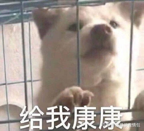  微信表情包图片最适合发朋友圈的经典找骂