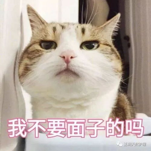 晕的表情包静态无望