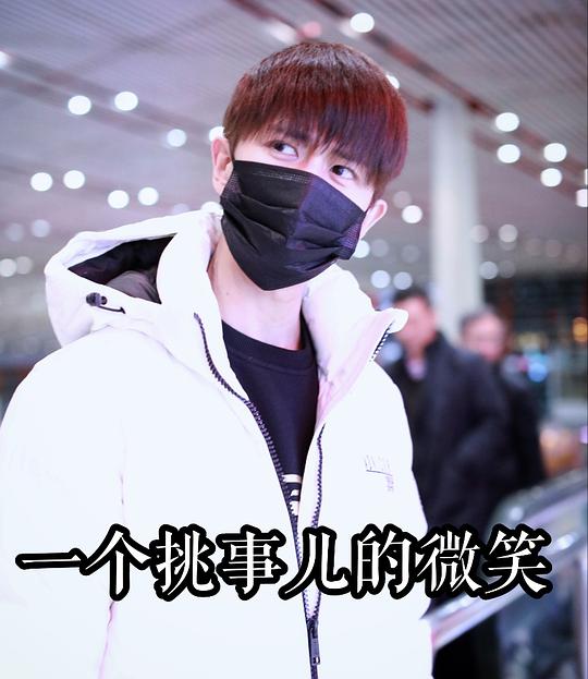  乔不思进取的相册任嘉伦表情包