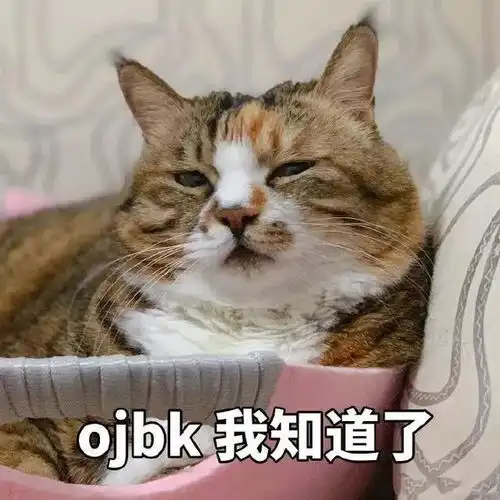  我觉得ok表情包有哪些猫咪表情图ojbk分享