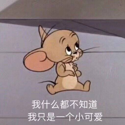  有哪些猫和老鼠表情包