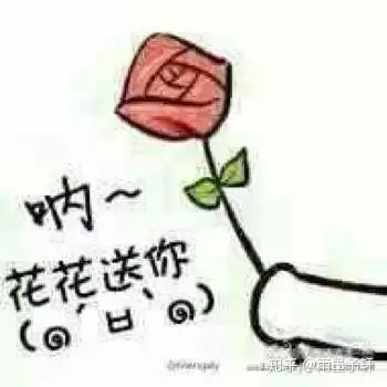 花花给你的表情包送你