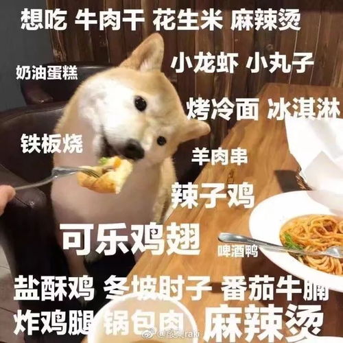  前男友帮我还了花呗后,却要求我...