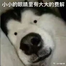  炮指导上线合着安东尼就是第一排看球的