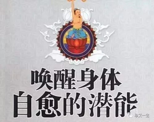  疯狂的石头,再不了解就out了活瓷能量晶片