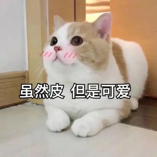  比李宇春更性感的是