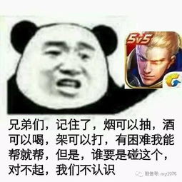  你见过野生泰迪吗这家动物园有