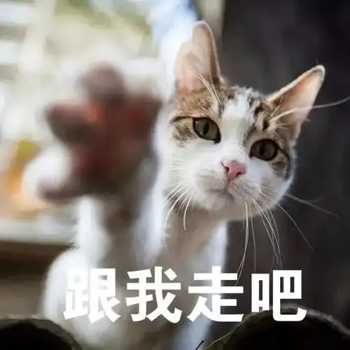  就在今天滨海新区这个亲海公园正式开放