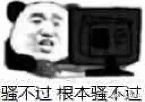  pgone整个垮掉的过程里,粉丝功不可没