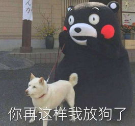  哈无搞上海地铁两男子上演飞檐走壁逃票新操作