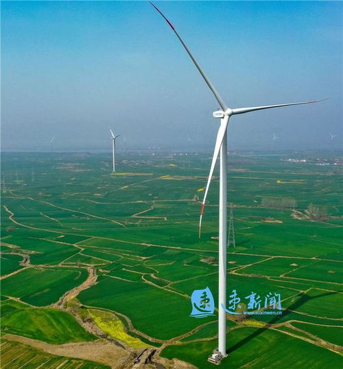  图说丨泗洪绿色西南岗能源新高地