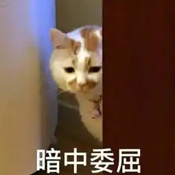 原神表情包图集可保存摇