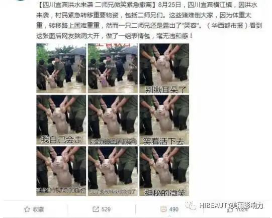  网红称霸表情包界的本尊们