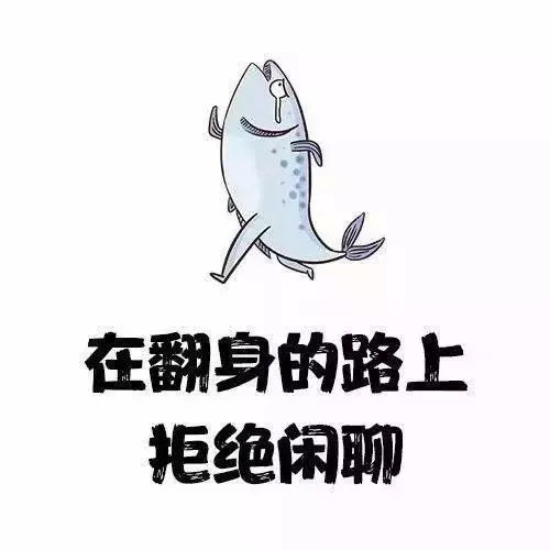  考研人专属头像合集你迟早会是研究生