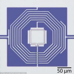  寻找时空中的引力波科学家控制量子运动至量子基态