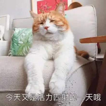  娜扎胖了之后竟然撞脸陈乔恩娱乐圈的纸片人女明星是商量好了一起增肥吗