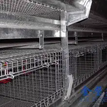 养鸡表情包高清鸡笼