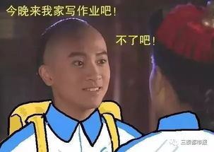 p图表情包推荐小燕子