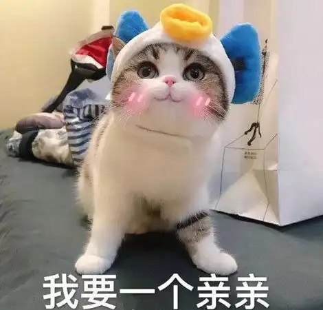 宠物表情包gif头像