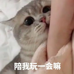  萌妹子卖萌专用表情包你怎么都不给我打电话