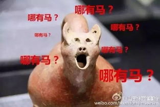  哈哈哈哈哈哈哈,快被这些不正经的博物馆笑喷了