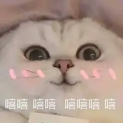  webm怎么转换mp4视频格式转换你需要知道这个