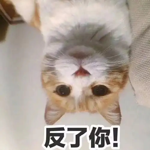  寒潮即将南下泉州人准备接受湿冷的暴击吧最低温只有