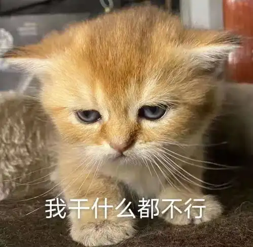  分享一波图片吧,自己家小宝贝的表情包